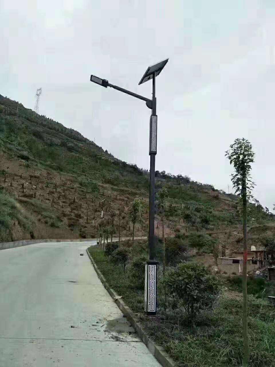 桐城市仿古太阳能路灯